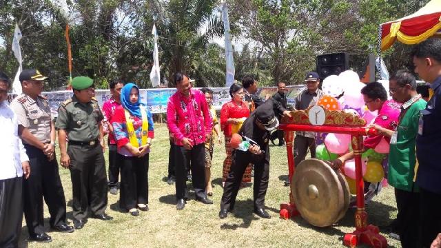 Wabup Rohil Buka Edu Fair 2017 di Sekolah Yosef Arnoldi