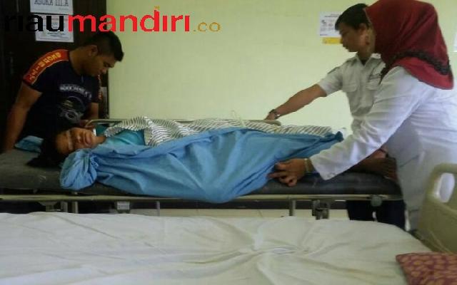 Perjuangan Akim Lawan Keganasan Terkaman Buaya Liar di Meranti