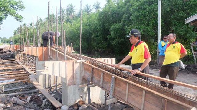 Bupati Inhil Tinjau Pembangunan Jalan dan Jembatan di Pulau Burung