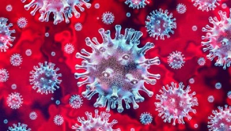 Menristek Sebut Jenis Virus Covid-19 di Indonesia adalah Tipe Baru Belum Dikenali