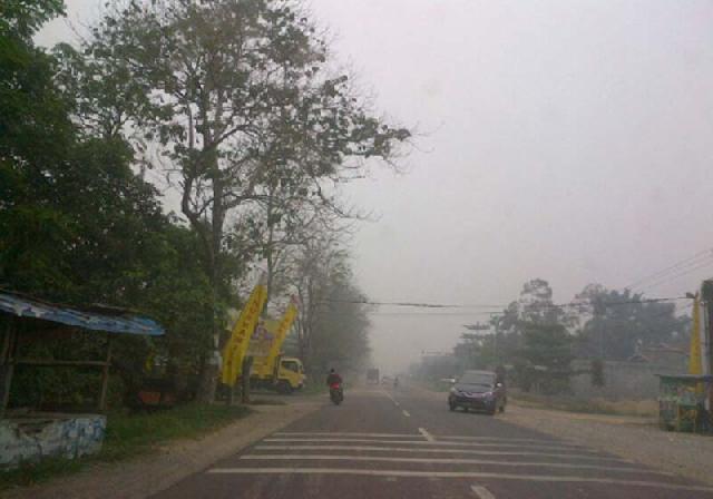 Kebun Sawit PT Teso Indah Terbakar