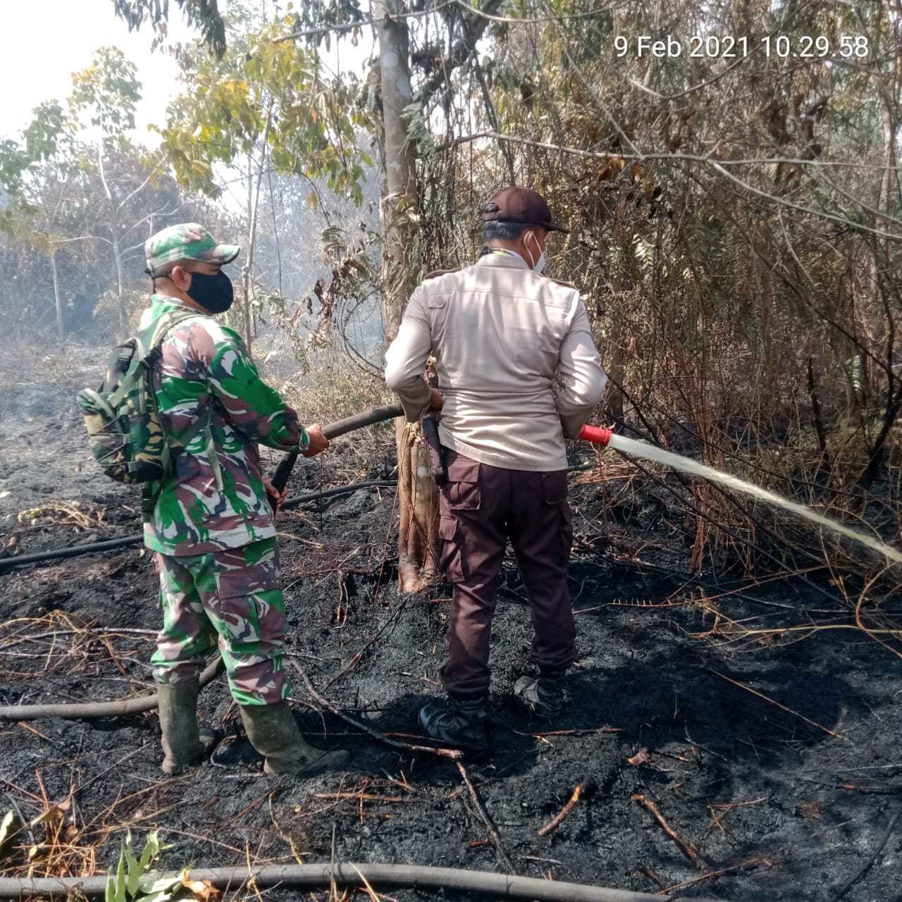 Lahan Tiga Hektar di Bantan Bengkalis Terbakar