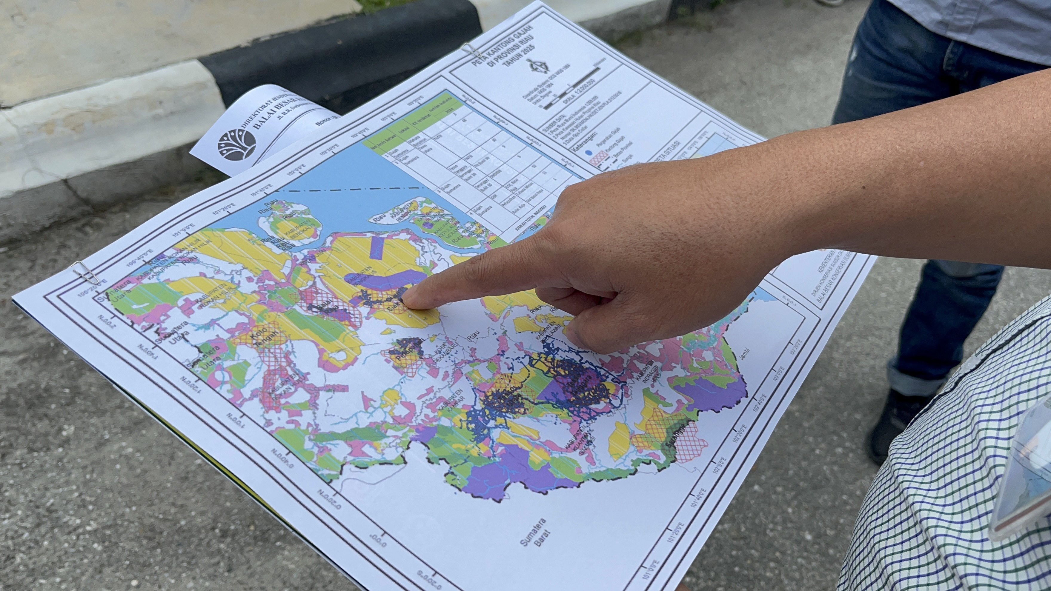 Korban Jiwa Akibat Serangan Gajah, Kebun Sawit Dalam Kawasan Jelajah Satwa