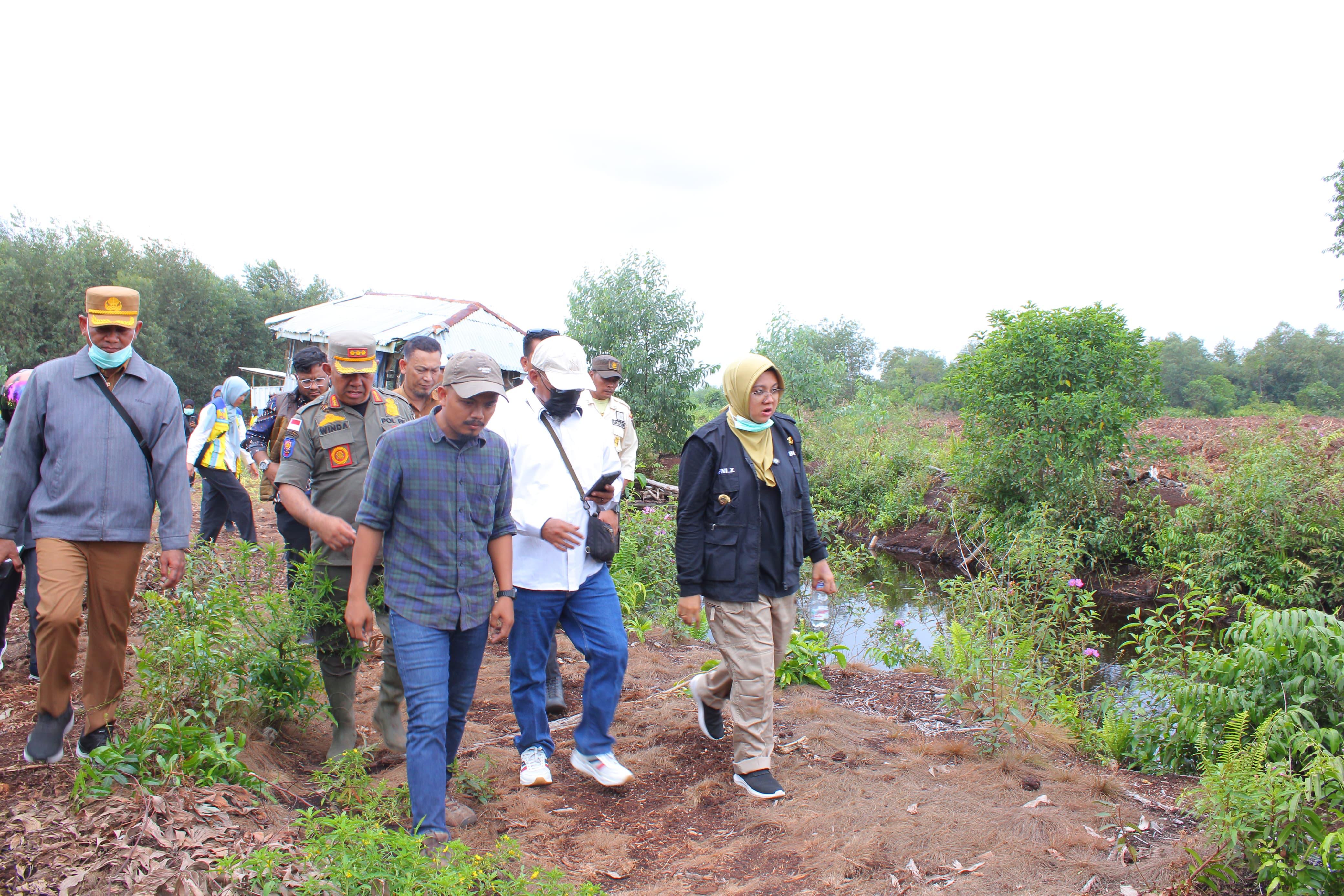 Bupati Afni Tinjau Lokasi Persawahan di Bungaraya, Carikan Solusi Kekeringan