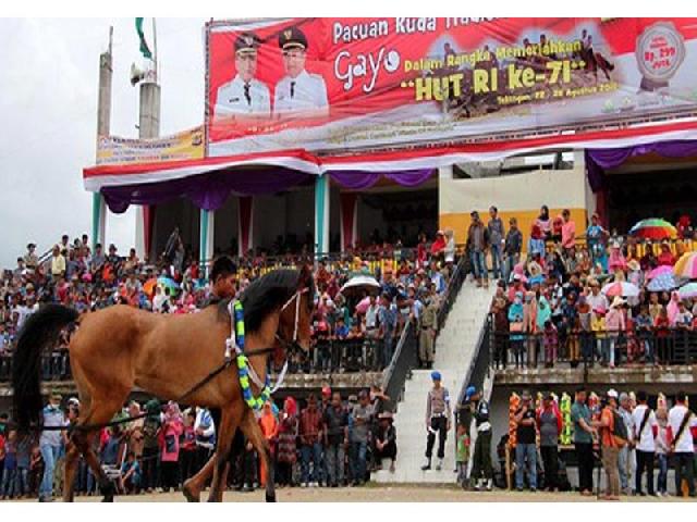 Aceh Incar Turis Mancanegara Via Pacuan Kuda Gayo