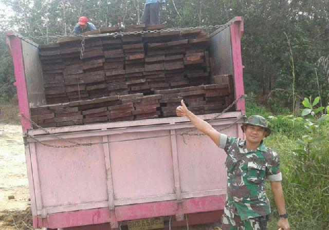 TNI Tangkap 3 Truk Kayu Ilegal