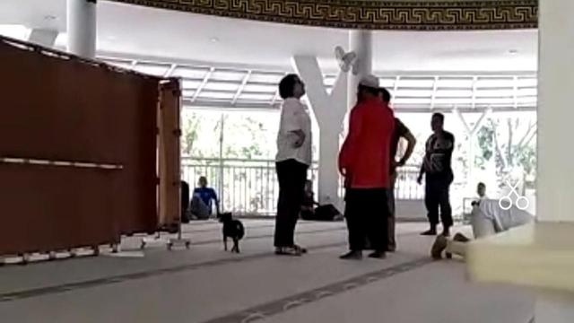 MUI Akan Keluarkan Fatwa Terkait Wanita Bawa Anjing ke Masjid Sentul