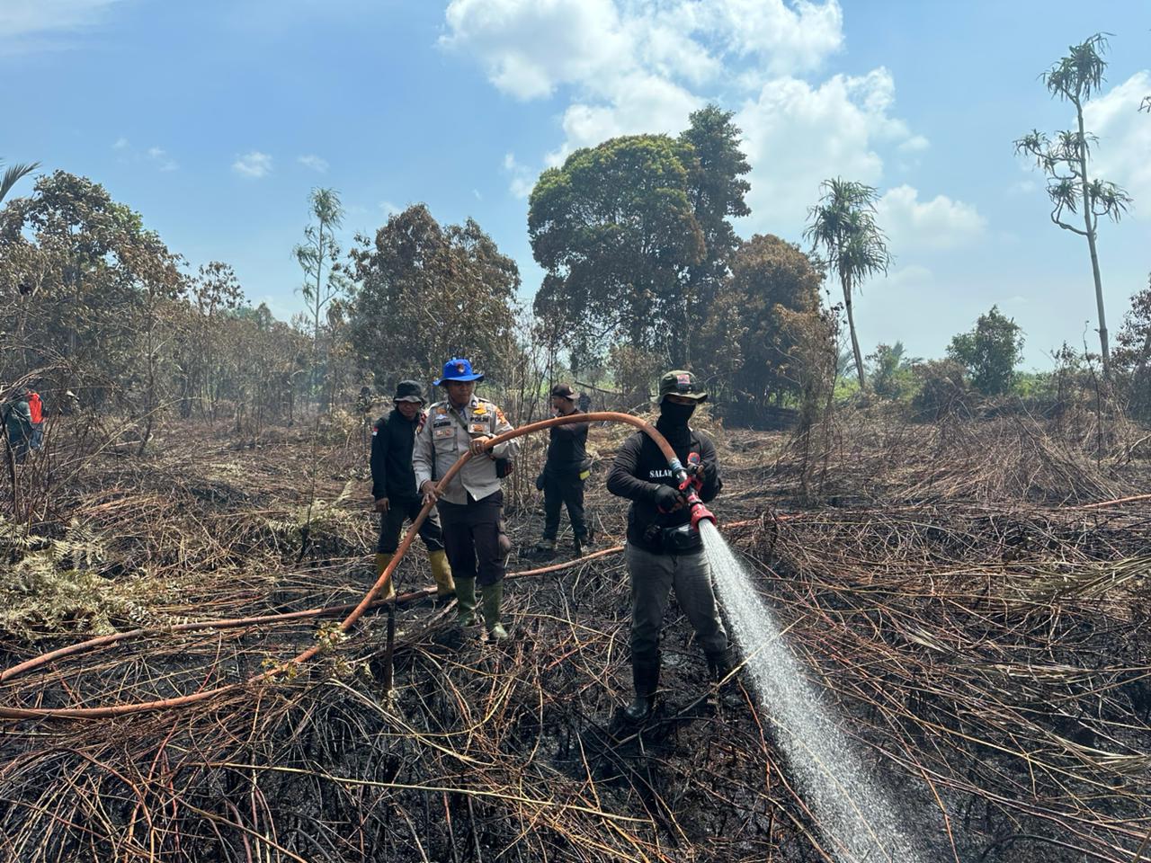 50 Hektare Lahan Gambut di Meranti Terbakar: Api Padam, Tim Lakukan Pendinginan
