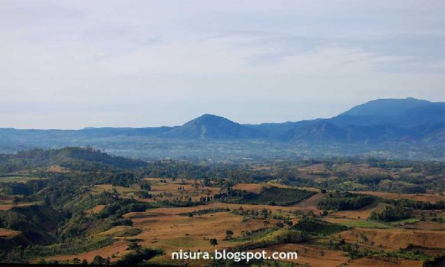 Pemkab Tentukan Pembagian Kebun di Ukui