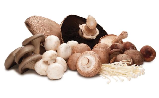Tak Hanya Lezat, Ini 7 Manfaat Jamur Bagi Kesehatan