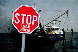 Lumpuhkan Pelaku Illegal Fishing, Personel Polres Rohil Diperiksa