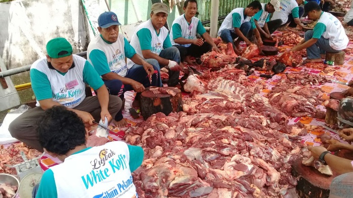 Bahaya Salah Penanganan Limbah Kurban bagi Kesehatan