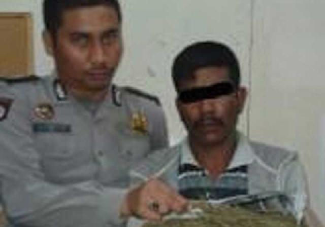 Pengedar 2 Kg Ganja Dibekuk Polisi