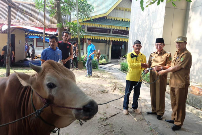 Idul Adha 1440 H, Bupati Tunaikan Ibadah Kurban di Lingkungan Setda Inhil