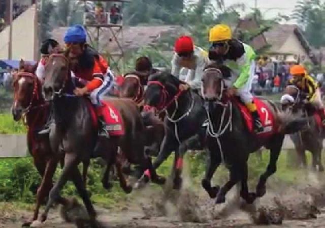 Kuda PON Riau Raih Emas dan Perunggu