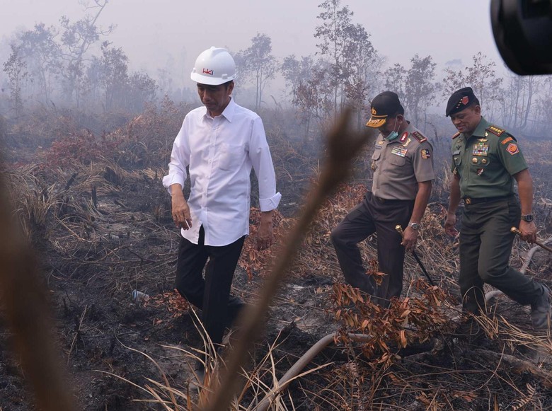 Tolak Kasasi, MA Vonis Presiden Jokowi Melawan Hukum dalam Kasus Kebakaran Hutan