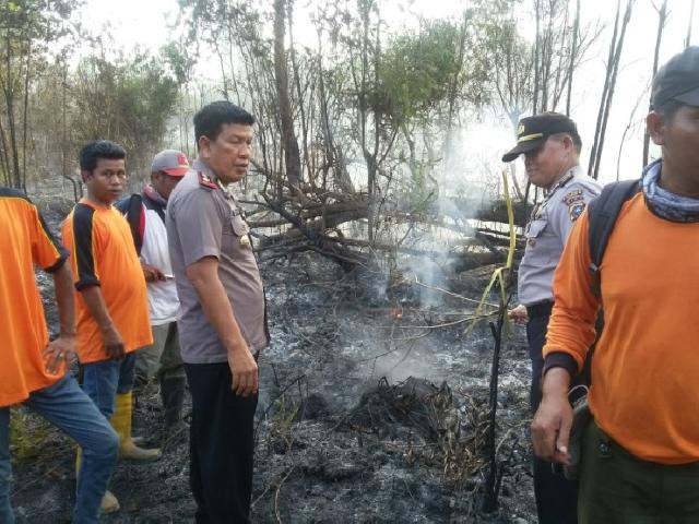 Kebakaran Puluhan Hektare Lahan di Meranti Berhasil Dipadamkan