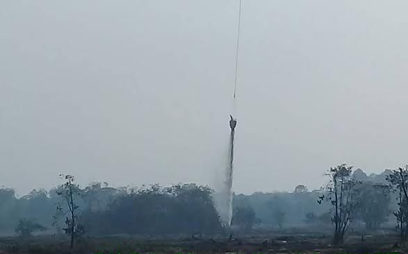 80 Hektar Lahan di Inhu Terbakar, Sumber Api dari Inhil