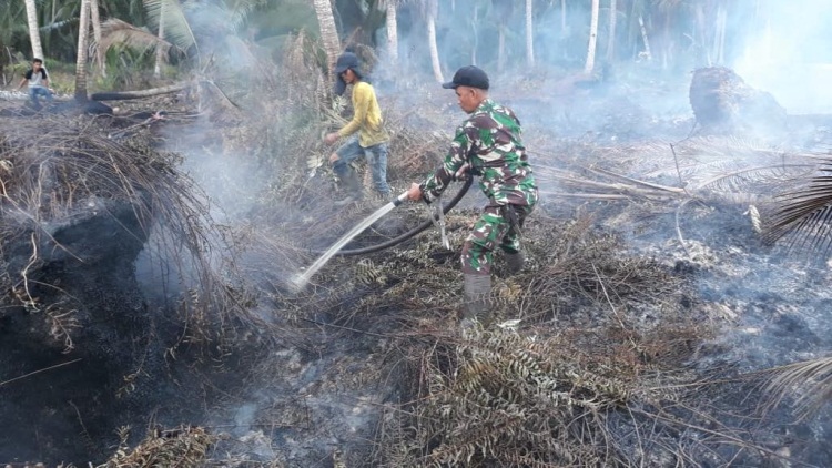 Karhutla di Riau Capai 1.337,16 Hektare, Pemadaman Terkendala Air