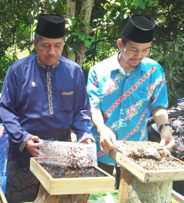 Plt Bupati Siak: Madu Kelulut Jadi Mata Pencaharian Baru Warga Siak