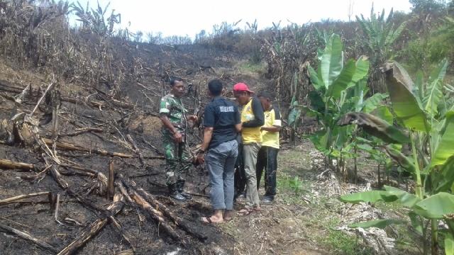 Pembakar Lahan di Kabun Ditangkap Tim Karhutla