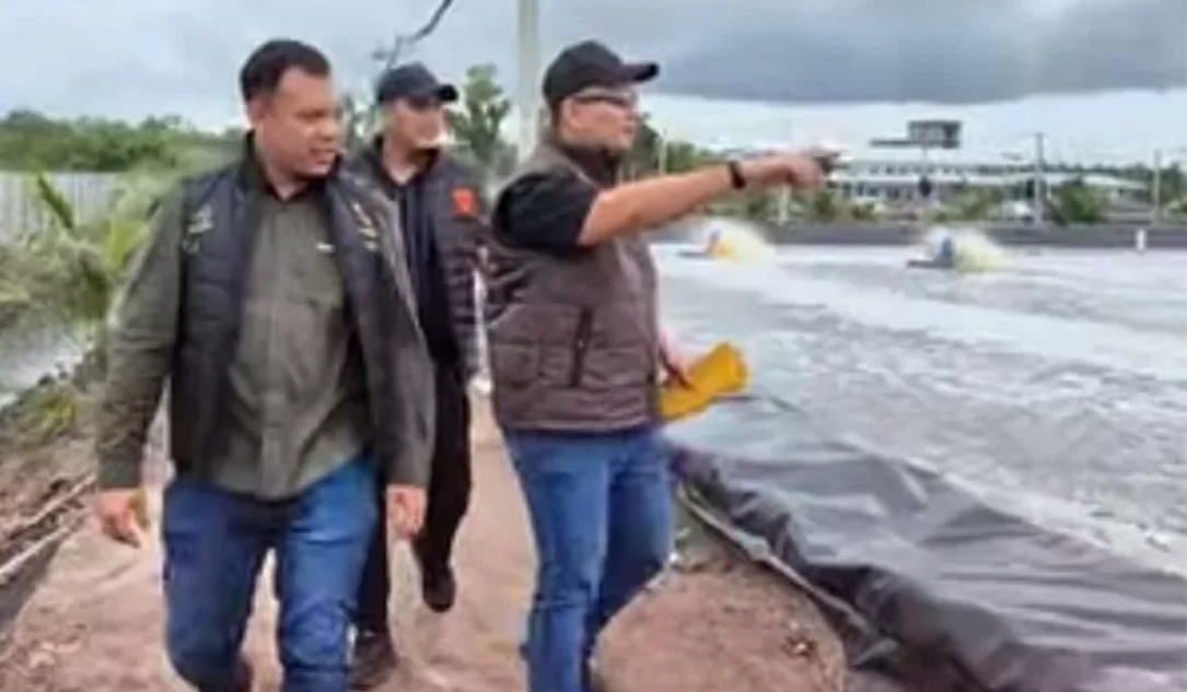 Kasus Dugaan Korupsi Tambak Udang di Bengkalis Mandek? Ini Sebabnya