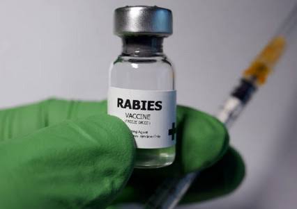 Vaksinasi Rabies Besok Digelar Pemko Pekanbaru Terpusat di Kantor Camat Kulim