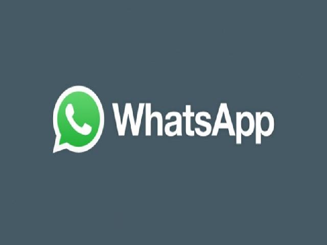 Untuk Ponsel iOS, WhatsApp Tambahkan Mesin Pencarian GIF