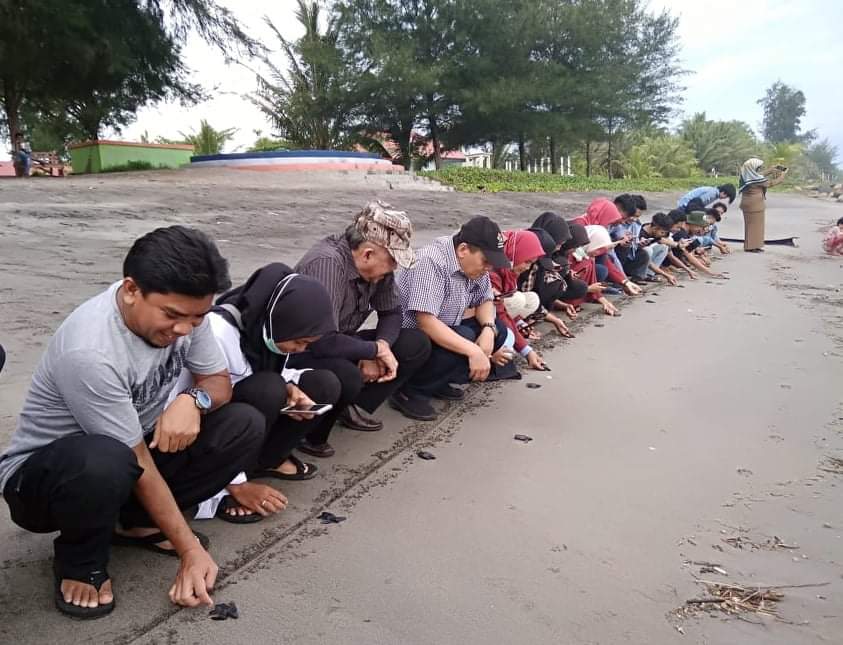Sejumlah Mahasiswa Perikanan UIR Lepas Puluhan Anak Penyu di Pantai Pariaman