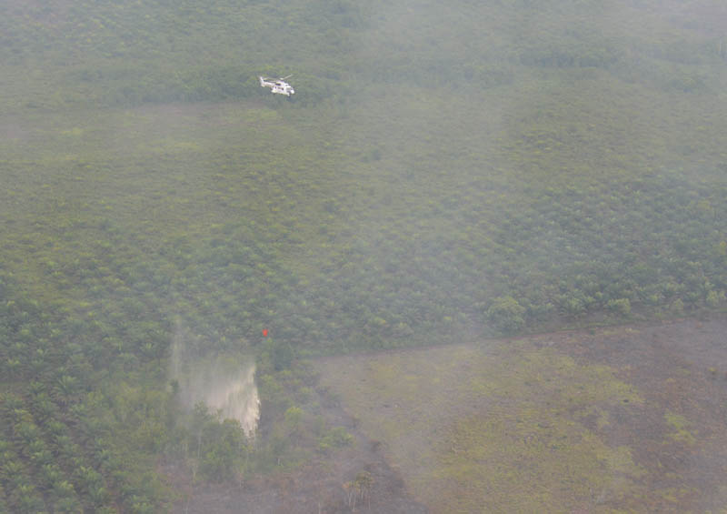 Kepala BPBD Riau: Enam Helikopter Dikerahkan Atasi Karhutla