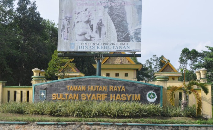 Riau akan Punya Pusat Edukasi Alam di Tahura SSH