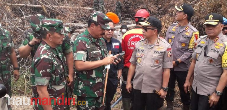 Tinjau Lokasi Karhutla di Pelalawan, Ini Instruksi Panglima TNI
