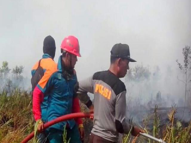 Polda Tetapkan 75 Tersangka Karhutla