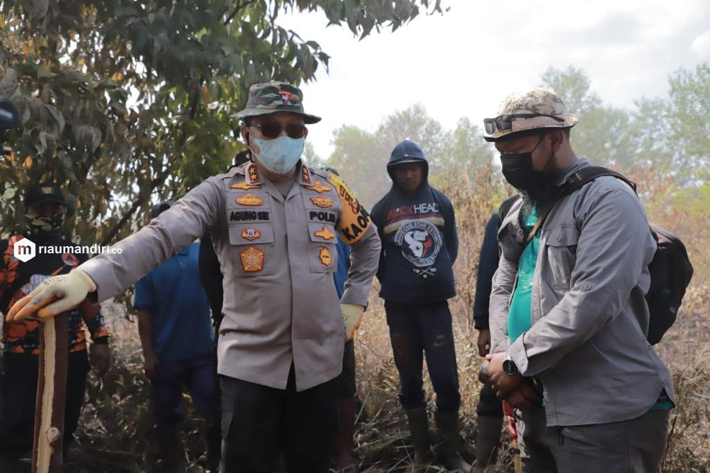 24 Pelaku Pembakaran Lahan di Riau Ditangkap