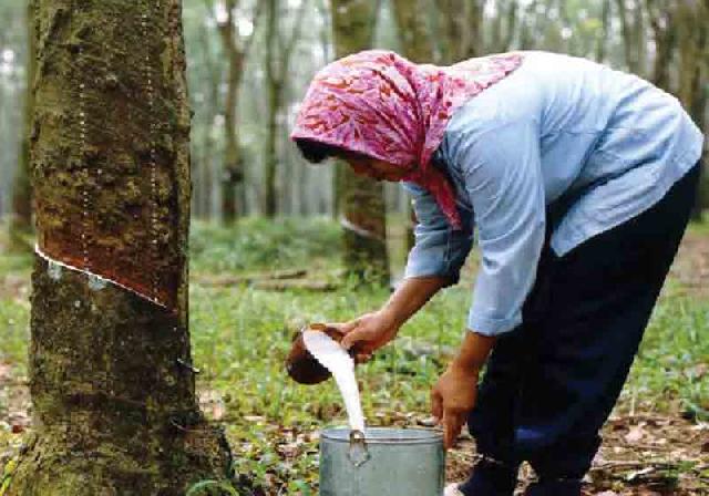 Jangan Sampai Ada Masyarakat tak Makan