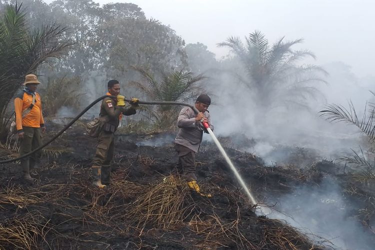 Selama 2019, Seluas 315,25 Hektar Lahan Terbakar di Dumai