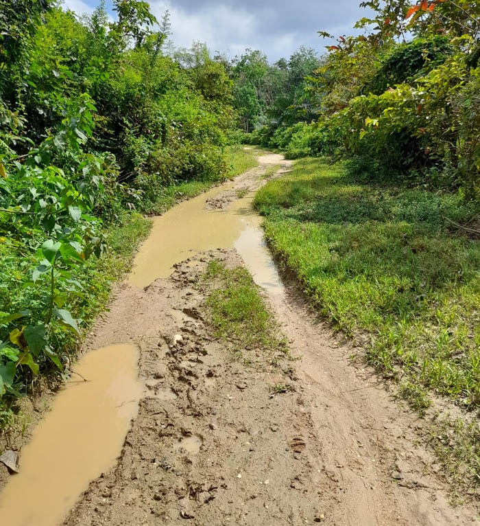 Jalan Pulau Kumpai Pangean Rusak Parah, Pemkab Kuansing Dinilai Abai