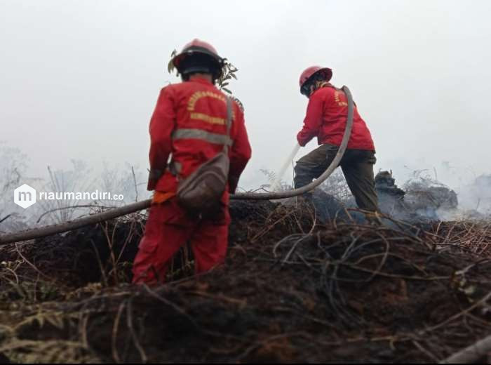 PT TKWL Tuding 10 Hektare Lahan Terbakar di Temusai Siak Milik Warga