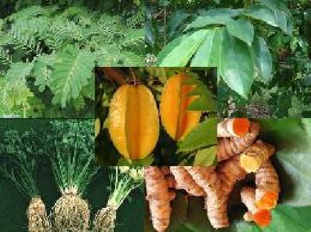 Resep Tradisional untuk Menurunkan Kolesterol