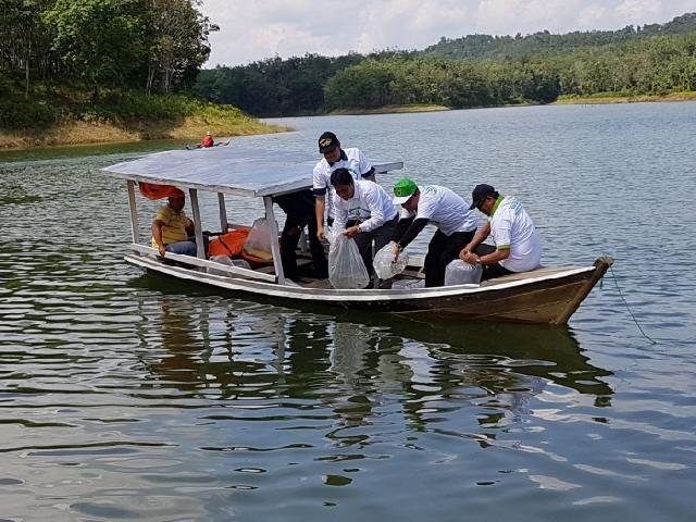 Lima Ribu Benih Ikan Ditebar di Tepian Mahligai Kampar, Ketum IKA dan Rektor Unri Turun ke Danau
