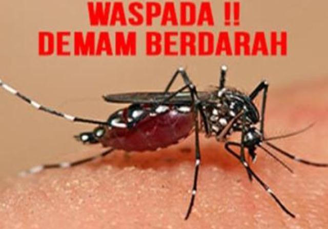Khawatir Kembali Meningkat, Dewan Ingatkan Diskes Waspadai DBD