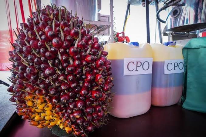 Diedarkan Januari 2023, Minyak Makan Merah Dijual Kisaran Rp 9 Ribu per Liter