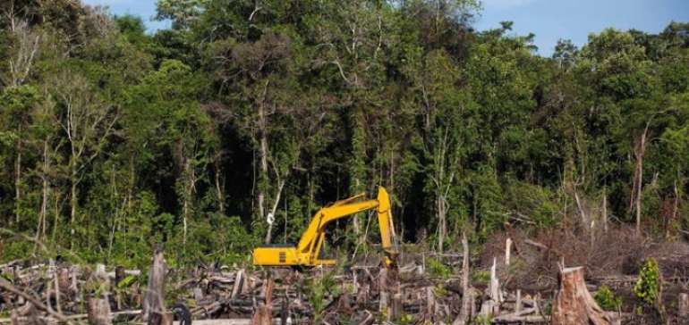Gakkum KLHK Segera Turun ke Lokasi Perambahan Hutan Lindung Bukit Betabuh