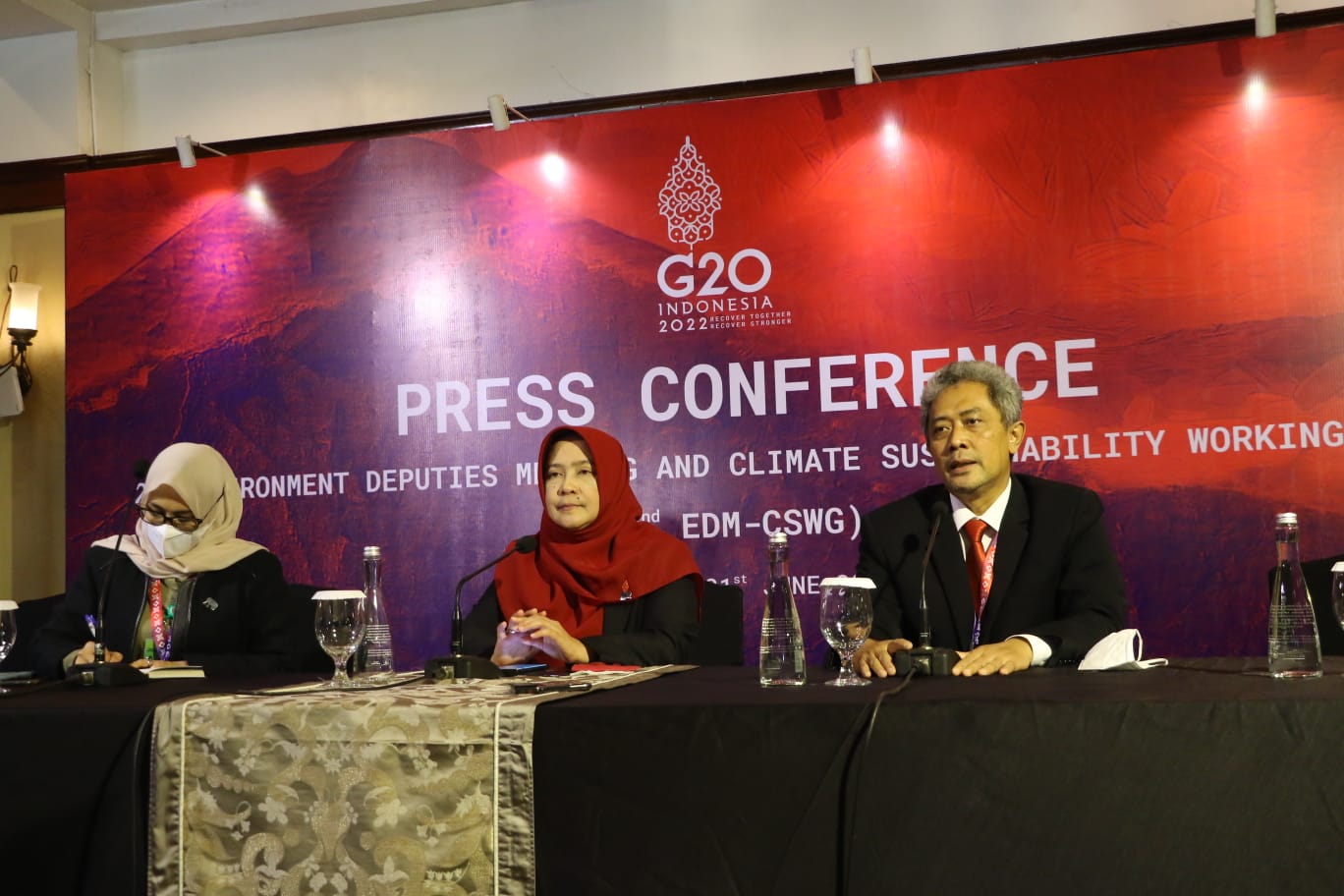 EDM-CSWG 2 Hasilkan Draft Dokumen Awal untuk Dibahas di Pertemuan ke-3 di Bali