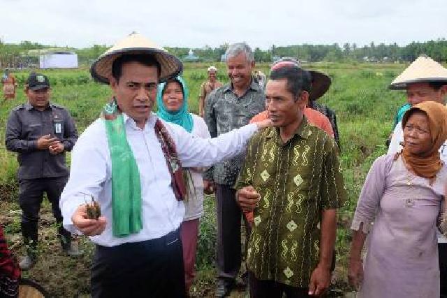 Menteri Pertanian Janji Salurkan Alat Pertanian untuk Petani Kuala Kampar