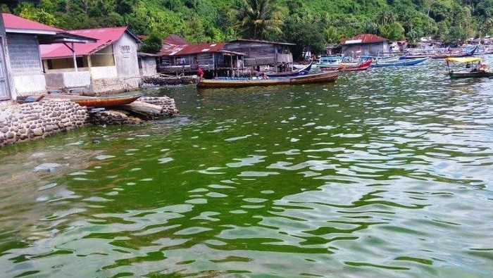 Fenomena Aneh, Air Laut Pantai Padang Berubah Jadi Hijau