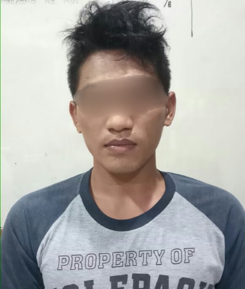 Angkut Kayu Olahan Tanpa Dokumen, Dua Pemuda di Inhu Ditangkap Polisi