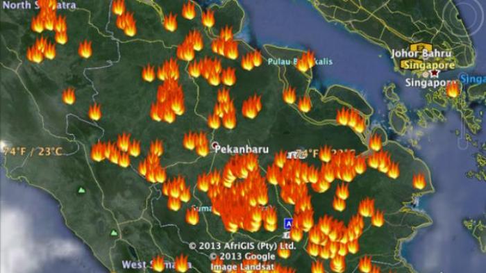 Titik Api di Riau Terbanyak di Sumatera, Ini Datanya