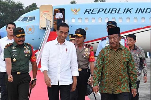 Replanting Sawit di Riau Sudah Terlambat, Jokowi: Umur Sawit di Atas 20 Tahun Tak Produktif