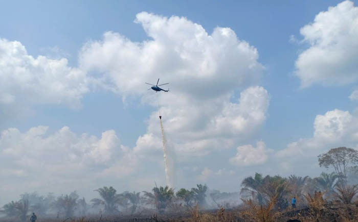 Api Kembali Menyala di Lahan Gambut Siak, Ini Penyebabnya